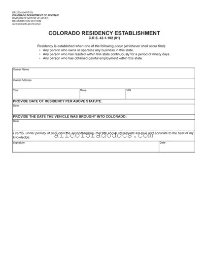 Blank Colorado Dr 2504 PDF Form